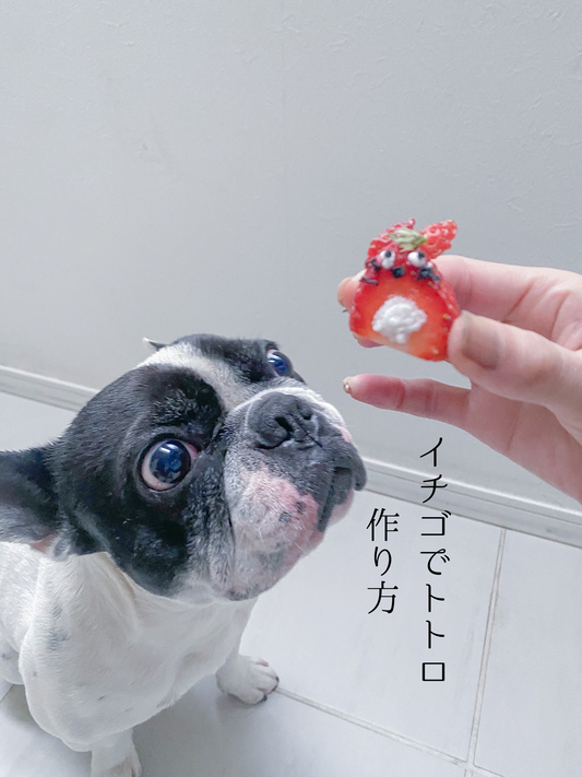 イチゴでトトロの作り方