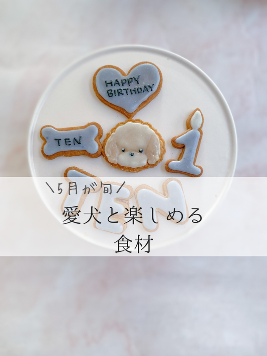 5月の旬を愛犬と楽しめる食材