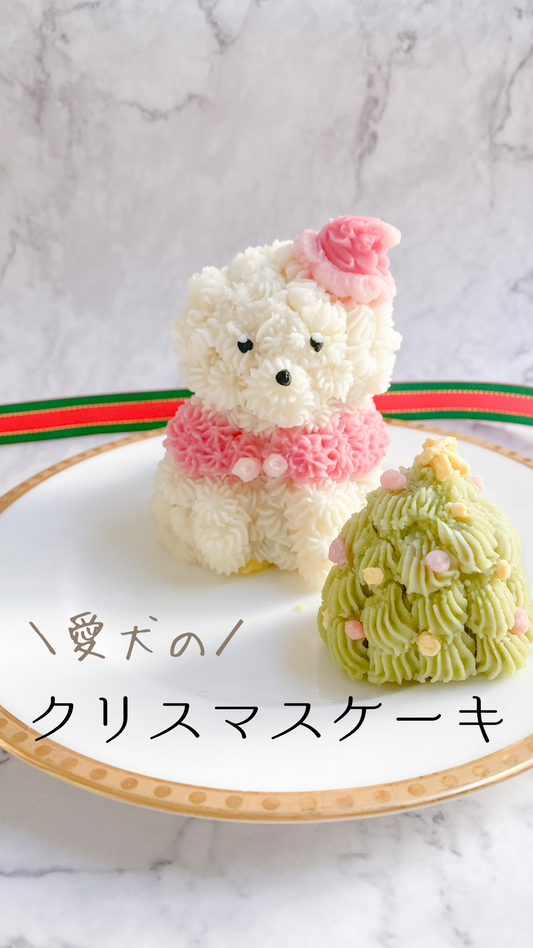 愛犬へのクリスマスプレゼント