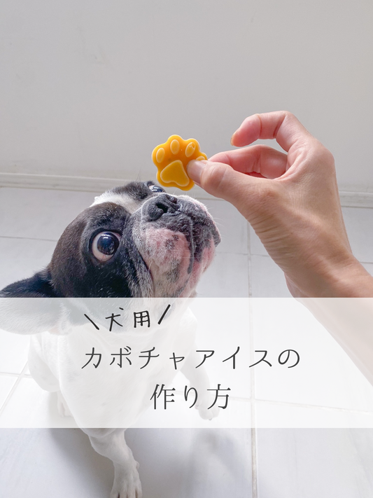 犬用カボチャアイスの作り方