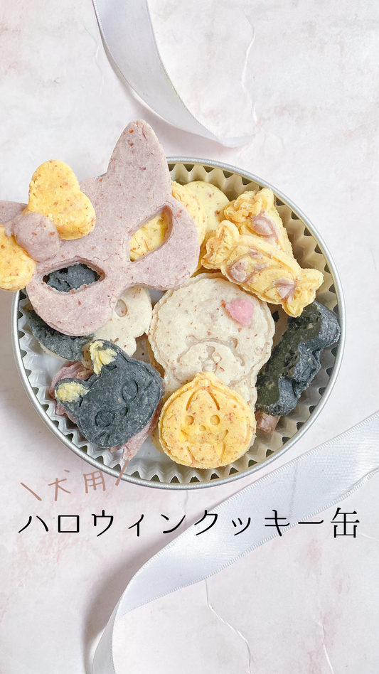 popupのお知らせ