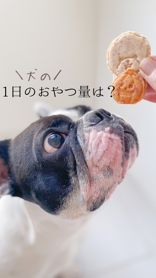 犬の一日のおやつ量は?