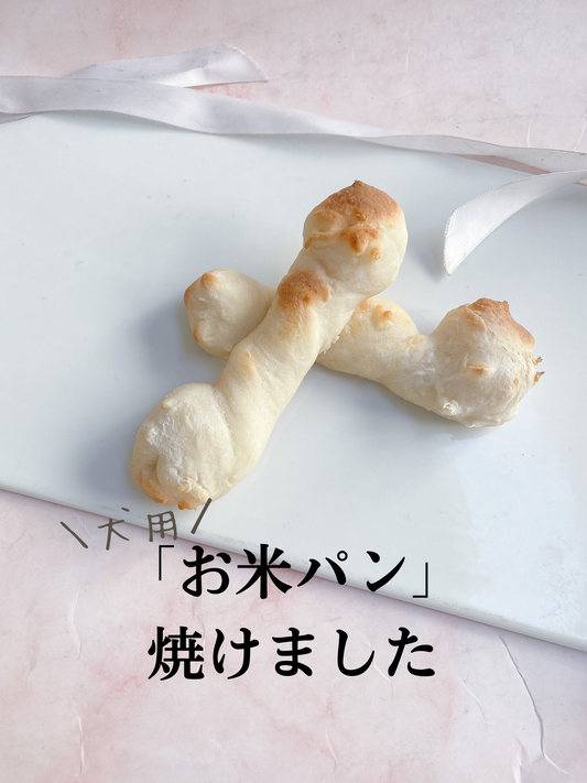 犬用お米パン出来ました!