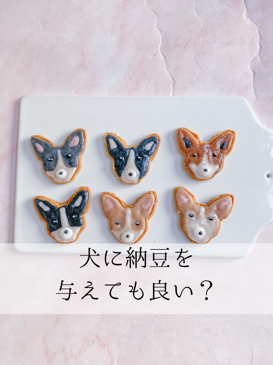 犬は納豆食べて良い?