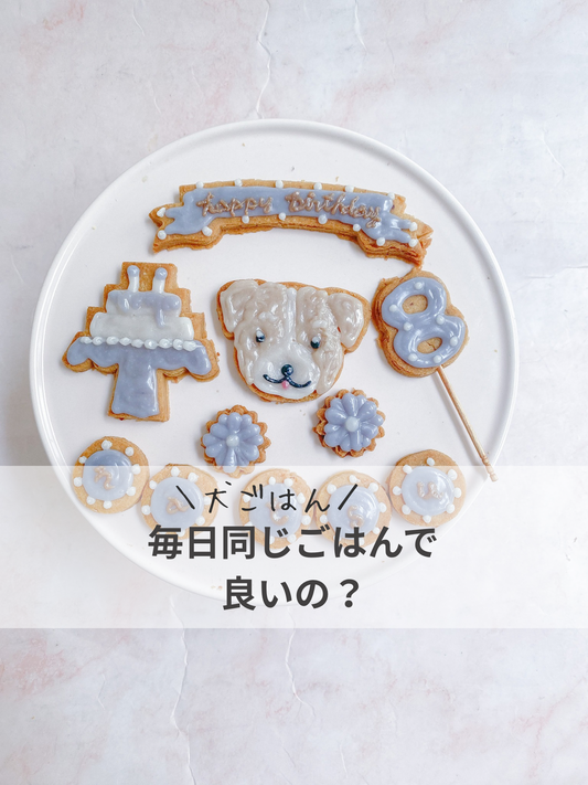 ワンちゃん、毎日同じごはんで良い?