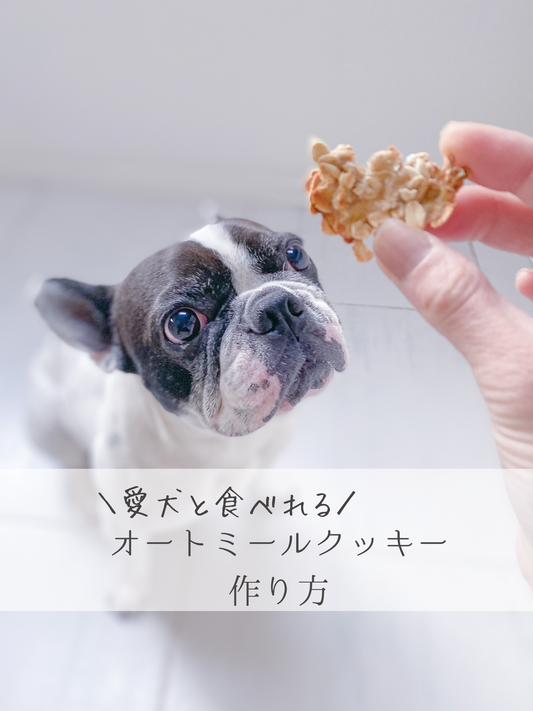 愛犬と食べれるオートミールクッキーの作り方