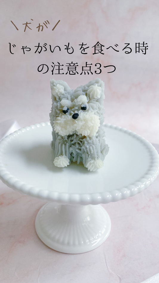 犬がじゃがいもを食べる時の注意点