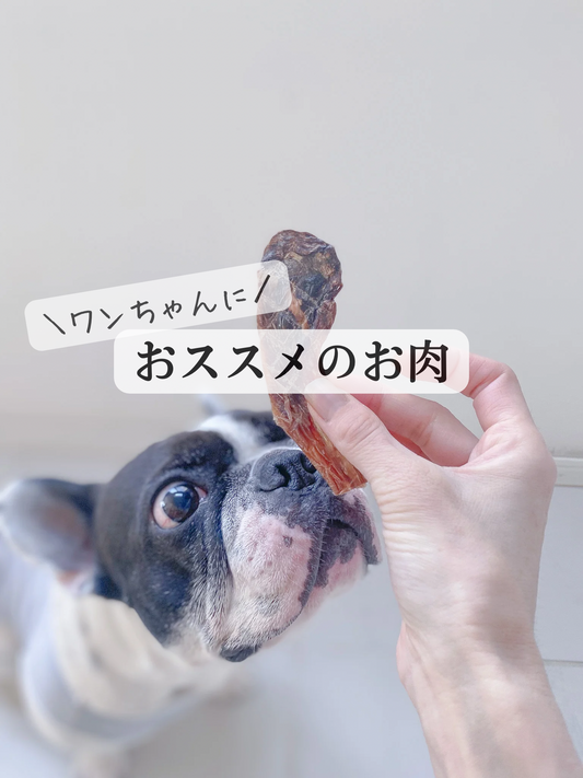 ワンちゃんにおススメのお肉!