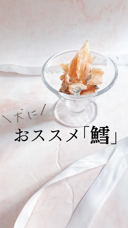 犬におススメ「鱈」