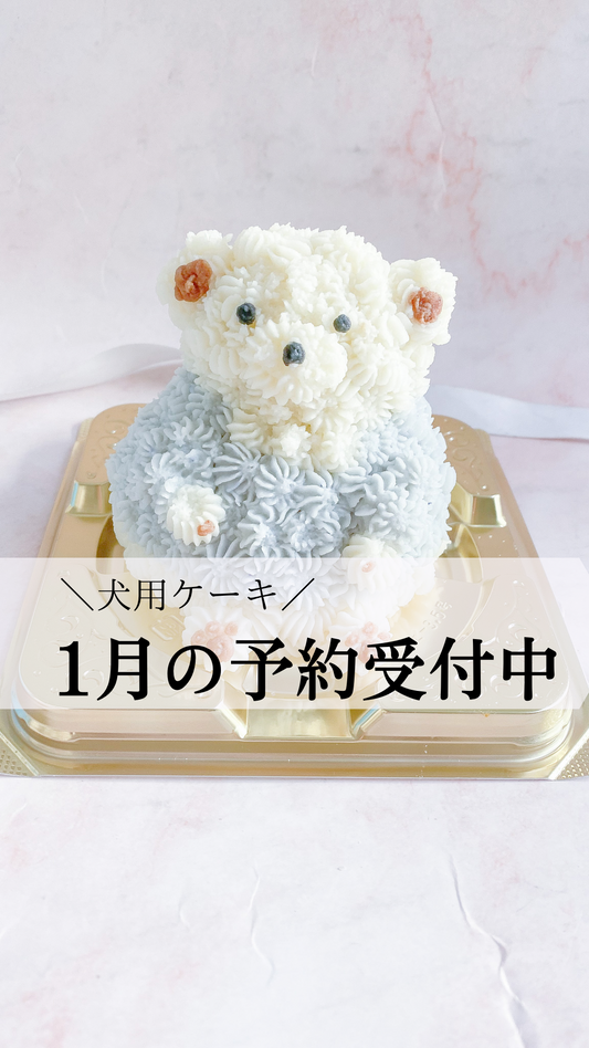 1月のご予約受付中です