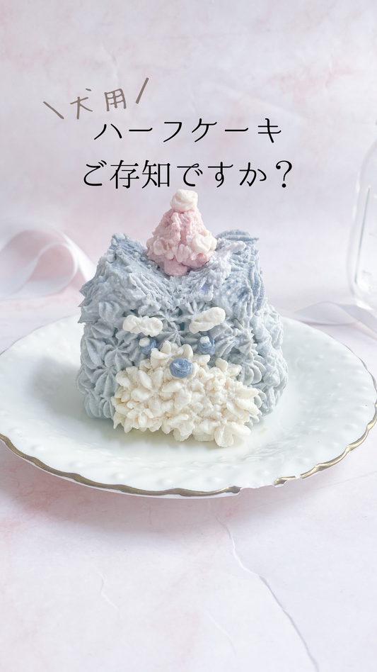 ハーフケーキ ご存知ですか?