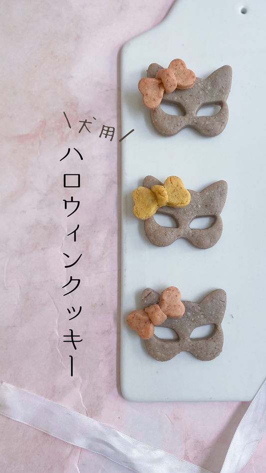 ハロウィンには犬用クッキー