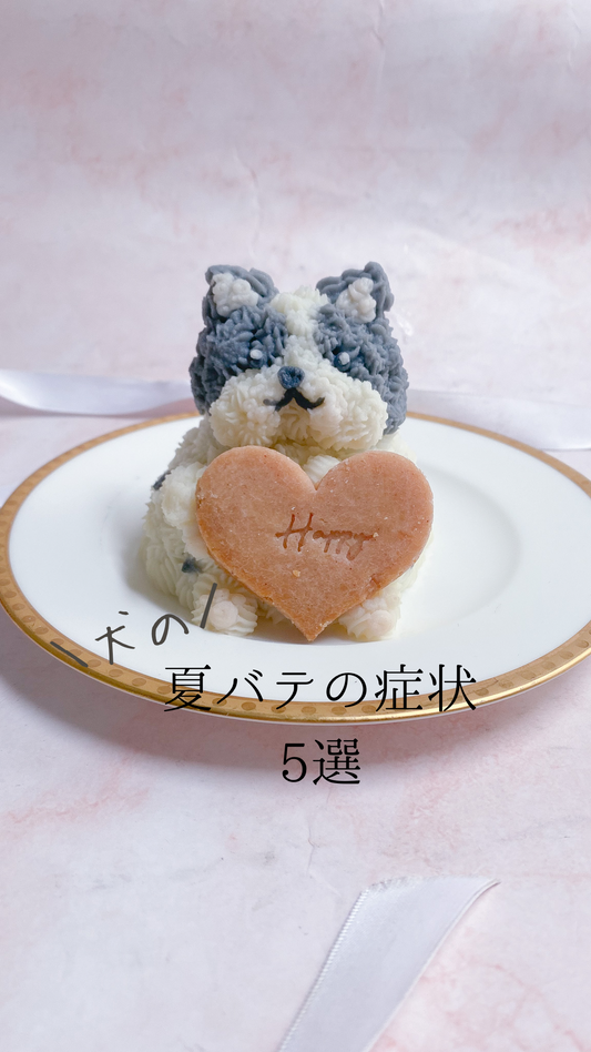 犬の夏バテ症状5選