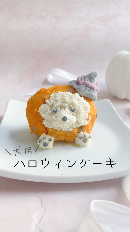 犬用ハロウィンケーキ