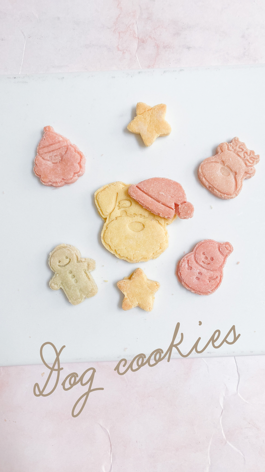 dog cookie