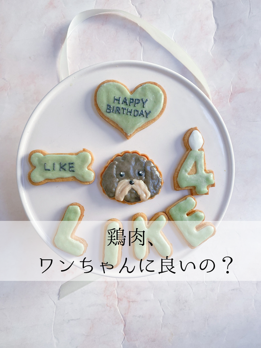 鶏肉、ワンちゃんに良い?