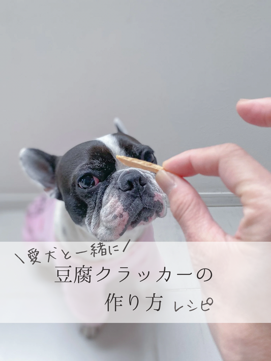 愛犬と一緒に食べられる「豆腐クラッカーの作り方」