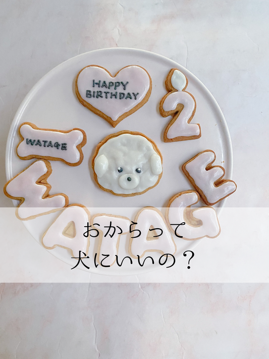 おからって犬にいいの?