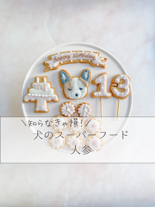 知らなきゃ損!ワンちゃんのスーパーフード人参