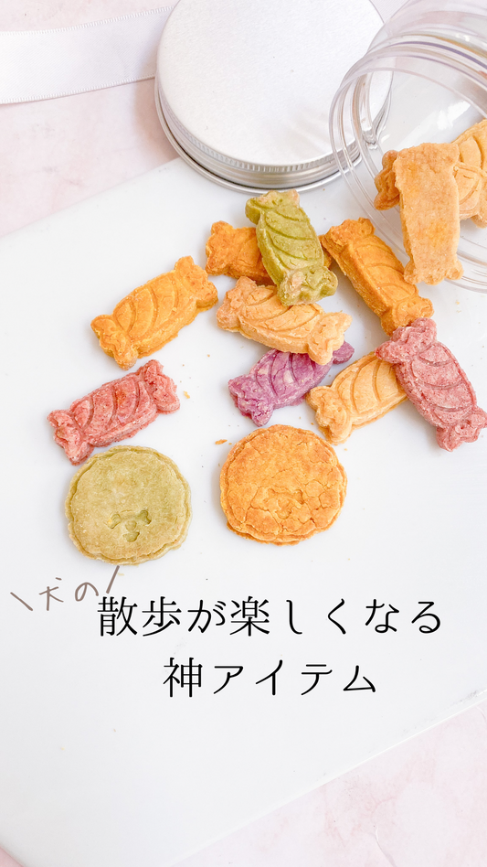 散歩が楽しくなる神アイテム