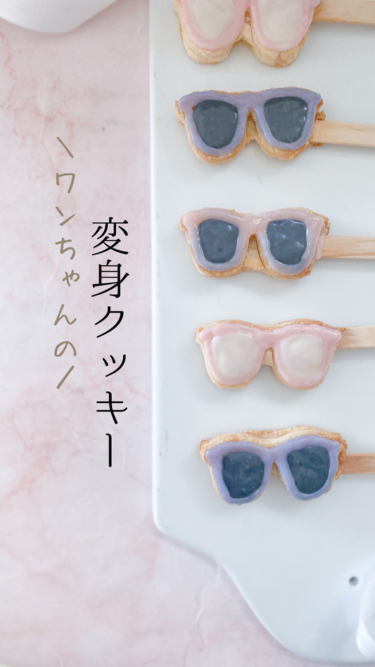 犬が変身できる⁈クッキー