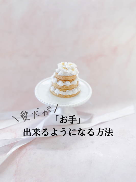お手出来る方法