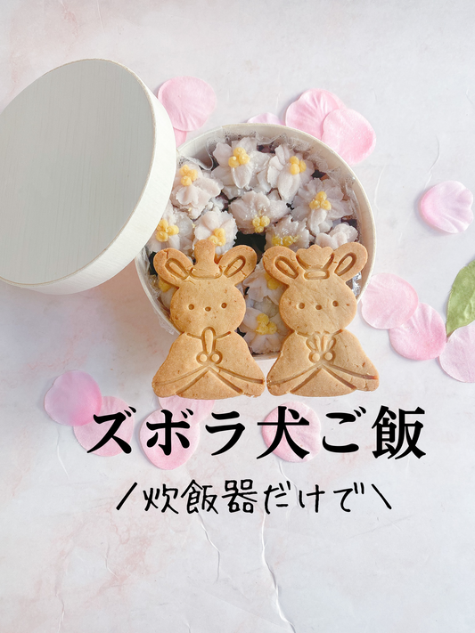ズボラ犬ご飯