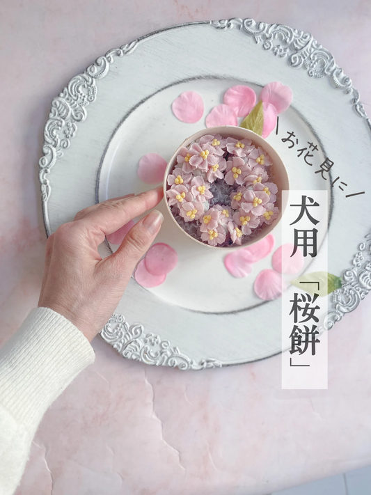 お花見にぴったり!犬用桜餅