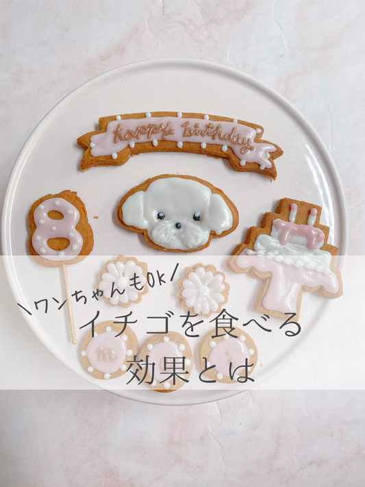 犬がイチゴを食べる効果