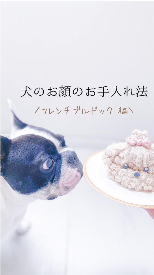 犬のお顔のお手入れ法