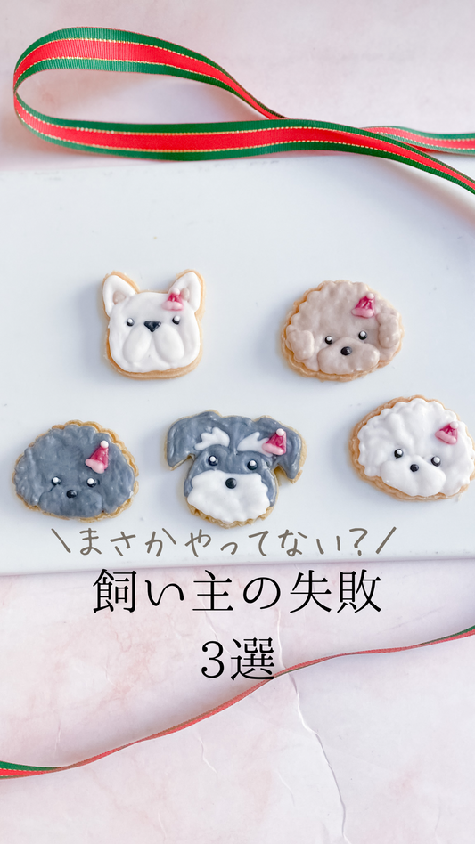 まさかやってない?飼い主の失敗3選
