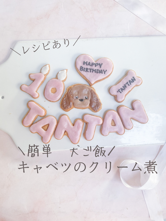 簡単犬ごはん「キャベツのクリーム煮」
