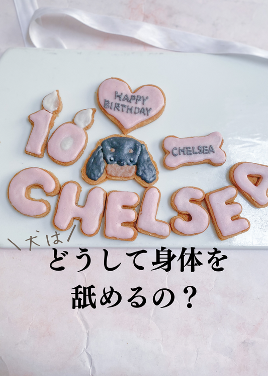 犬はどうして身体を舐める?
