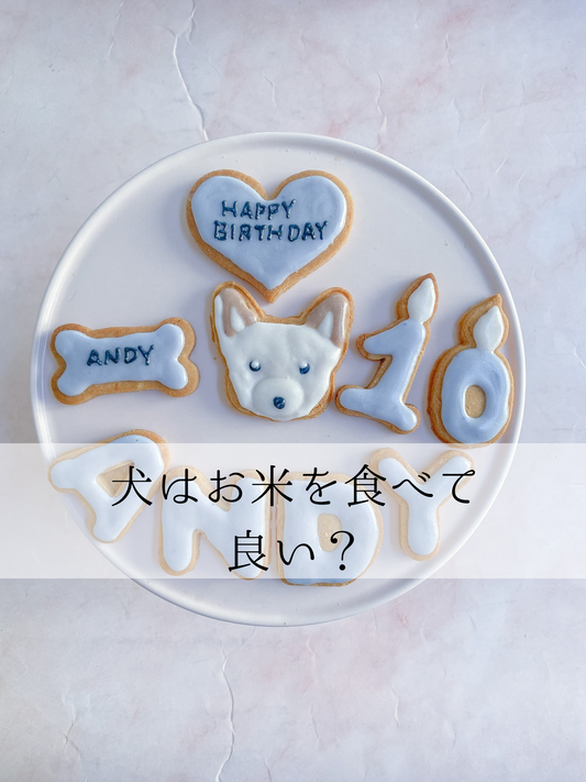 犬にお米あげても良い?