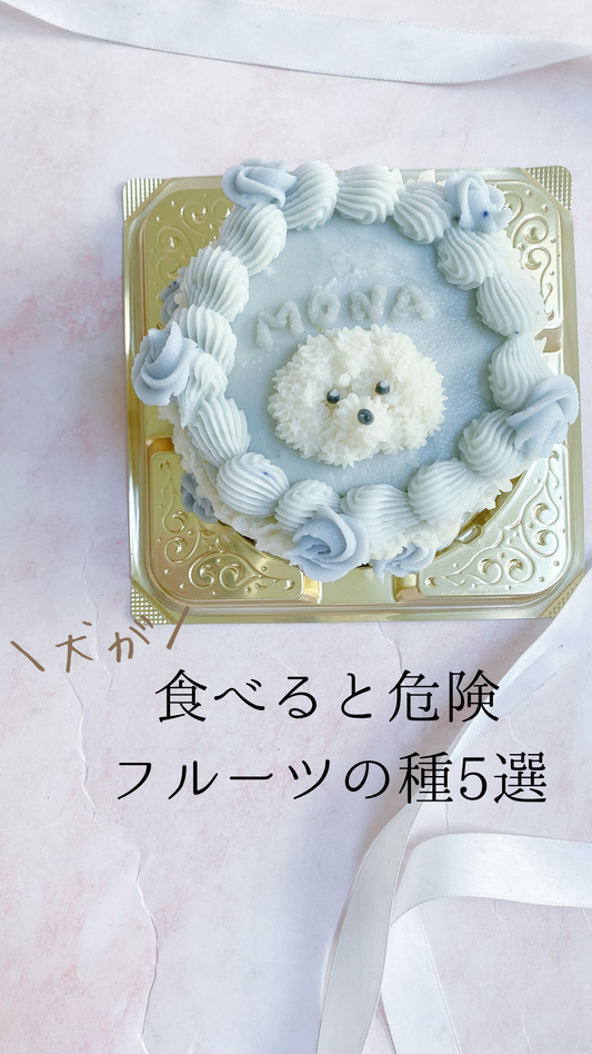 犬が食べると危険なフルーツの種