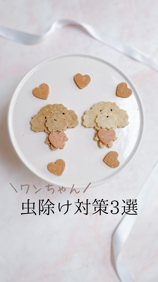 犬の虫除け3選