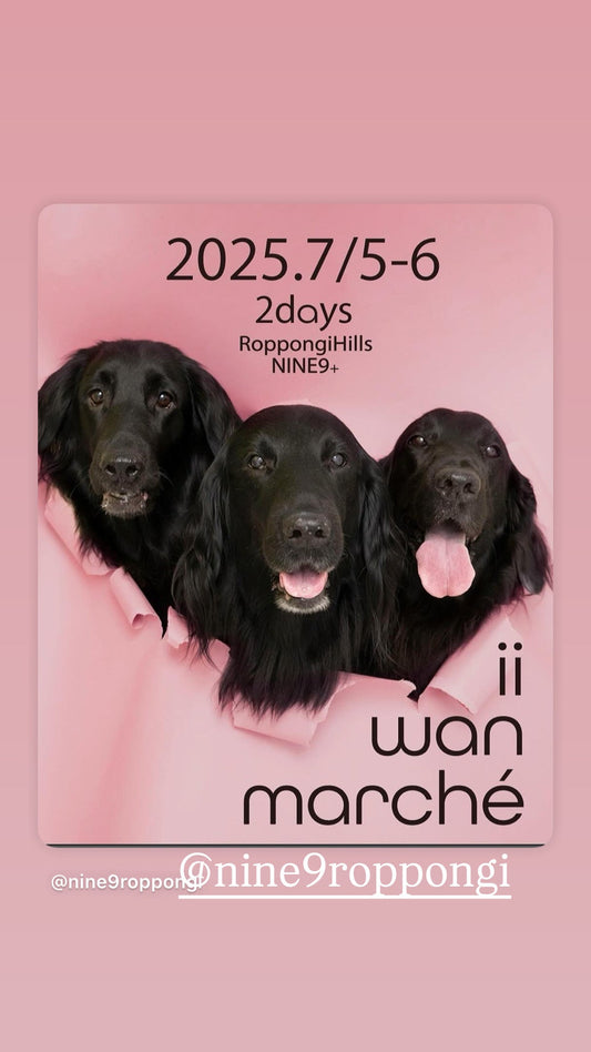「いいwanマルシェ」ありがとうございました