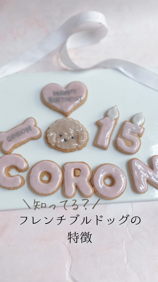 フレンチブルドッグの特徴知ってる?