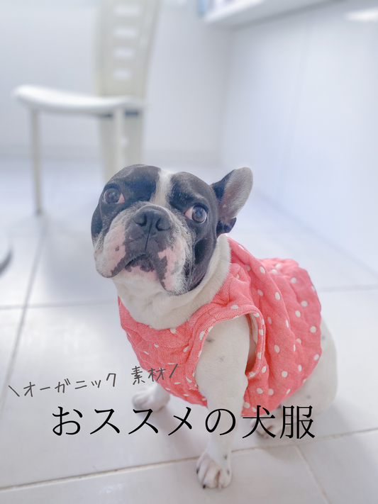 おススメ オーガニック 犬服
