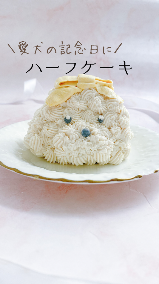 愛犬の記念日に「ハーフケーキ」