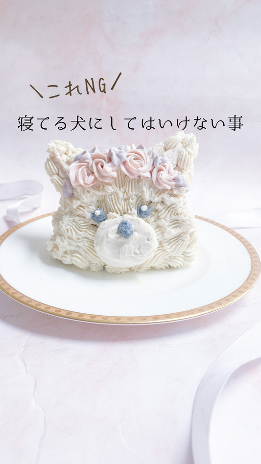 これNG!寝てる犬にしてはいけない事