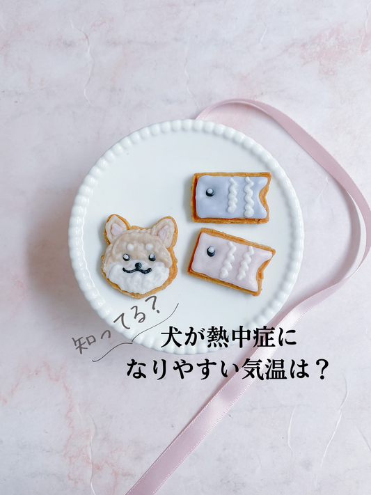犬が熱中症になりやすい気温は?