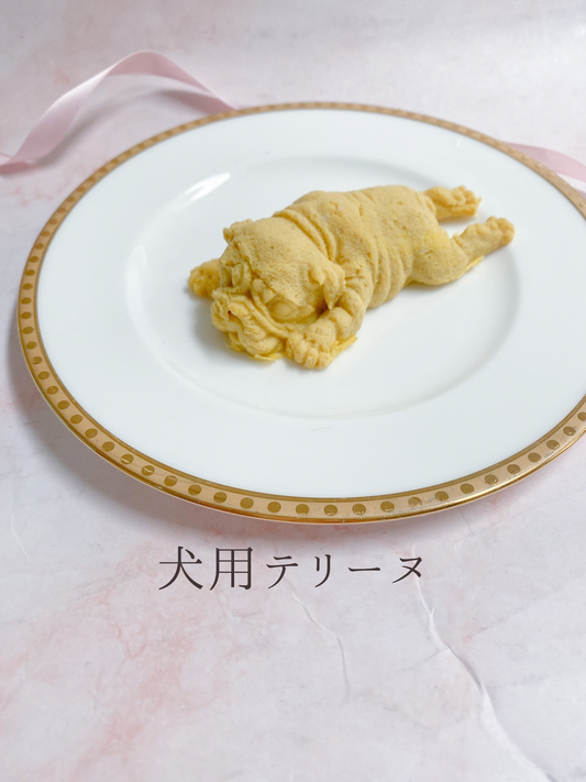 犬用テリーヌ