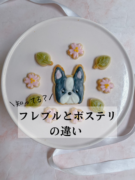 フレンチブルドッグとボストンテリアの違い
