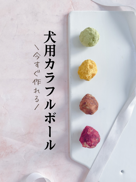 今すぐ作れる 犬用カラフルボール
