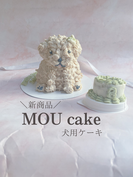 MOU cake