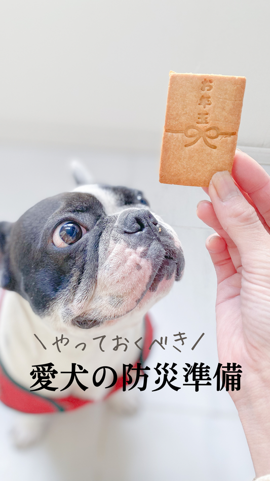 やっておくべき 愛犬の防災準備