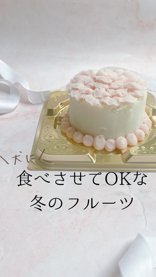 犬に食べさせてOKな冬の果物
