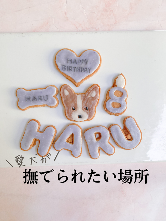 犬が撫でられたい場所