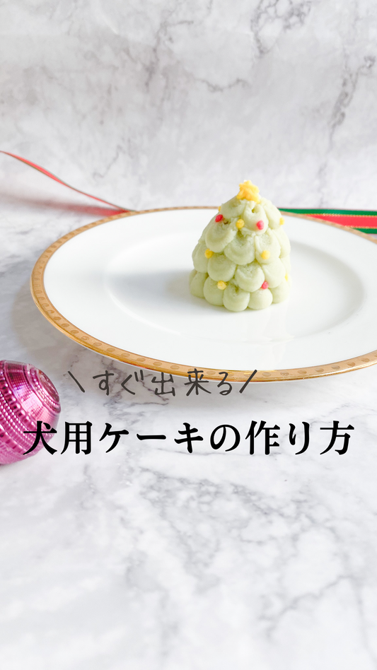 今すぐ出来る 犬用クリスマスケーキ